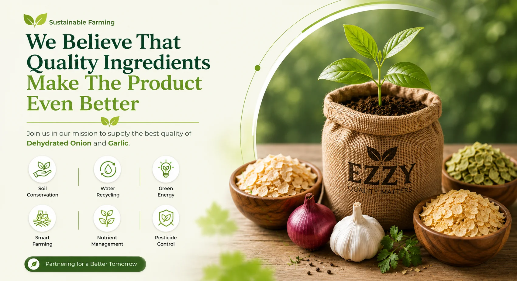 EZZY Foods Corporate & Product Overview